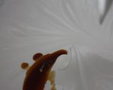 Foto del paso 1 de la receta: Pavlova con higos y sirope de Ágave