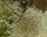 A picture of step 3 of Coleslaw.