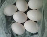 Foto del paso 3 de la receta: Budín de pan
