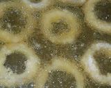 A picture of step 4 of Crispy Onion Rings with Creamy Sauce.