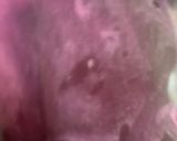 A picture of step 2 of Amla beetroot juice.