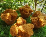 Foto langkah ke 7 dari resep Bolu Kukus Gula Merah (No Mixer).