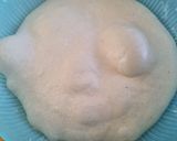 Foto del passaggio 3 della ricetta Pizza tipo Napoletana, pane casereccio con biga