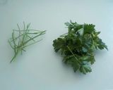 Foto del paso 4 de la receta Tortilla de julivert (perejil)
