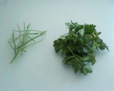 Foto del paso 4 de la receta: Tortilla de julivert (perejil)