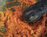 Foto langkah ke 3 dari resep Kare ayam.