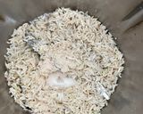 Foto del paso 2 de la receta: Pan de arroz de Gra sin grasas y sin azúcar