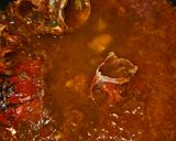 Foto del paso 6 de la receta: Arroz meloso de bogavante
