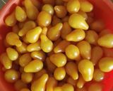 Paradicsomlé recept fázis 1 fotója