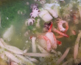 翡翠海鮮羹湯的食譜步驟6照片
