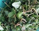 A picture of step 1 of Saaga bhaja.