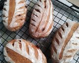 Foto langkah ke 5 dari resep Choco Cheese Bread (Sourdough Discard).