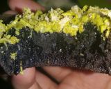 Foto langkah ke 7 dari resep Terang Bulan Hitam Mini.