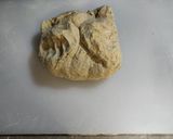 Foto del paso 4 de la receta: Pan Rústico (Baguette)