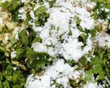 ફરાળી પોપ્સ (Farali Pops Recipe In Gujarati) રેસીપી સ્ટેપ3ફોટો