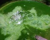 A picture of step 5 of Spinach soup.