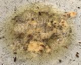 A picture of step 3 of Coriander masala poha.