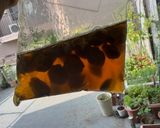A picture of step 6 of Japanese Ume Juice (Japanese apricot).