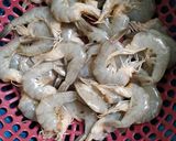 Foto langkah ke 1 dari resep Udang Saos Padang.
