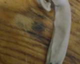 Vidhrab Kothimbir Roll recipe step 6 photo