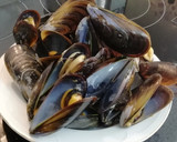 Foto del paso 1 de la receta: Fideuá de fideo grueso con Mejillones y Langostinos