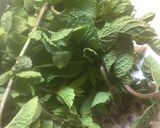 Une image de l'étape 1 de 🍃Aumônière fraises 🍓 pistaches 🌿.