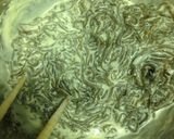 A picture of step 2 of Delicious Secret in the Batter: Mozuku Tempura.