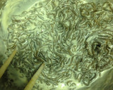 A picture of step 2 of Delicious Secret in the Batter: Mozuku Tempura.