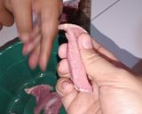 Foto langkah ke 1 dari resep 𝙍𝙚𝙣𝙙𝙖𝙣𝙜 𝘿𝙖𝙜𝙞𝙣𝙜 "𝙥𝙧𝙖𝙠𝙩𝙞𝙨" 𝙖𝙡𝙖 𝘼𝙣𝙖𝙠 𝙆𝙤𝙨🍛.