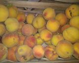 Foto del paso 1 de la receta: Duraznos en almíbar