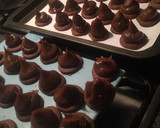 Foto del paso 7 de la receta: Volcanes y alfajores tipo HAVANNA