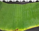 Foto langkah ke 3 dari resep Ikan Dencis Bakar.