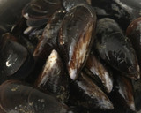 Foto del paso 1 de la receta: Mejillones con pota en salsa al curry
