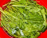 Hình bước làm 1 của món Cải bó xôi xào tỏi trong 1 nốt nhạc