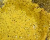 A picture of step 5 of Taro curry (arbi) with mustard gravy.