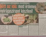 Fenyőrügy szirup recept fázis 1 fotója