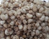 A picture of step 1 of Gond(panjeri).