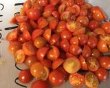 Une image de l'étape 11 de Pommes de terre au fond de veau et légumes du jardin.