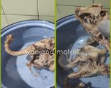 Foto langkah ke 4 dari resep Bone Broth (tulang & ceker ayam).