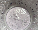 Foto del paso 2 de la receta: Smoothie bowl