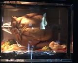 A picture of step 5 of Air Fryer Frozen Whole Chicken Roast.