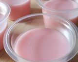 Foto langkah ke 3 dari resep Puding Cocopandan Sirsak Nata de coco.