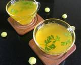 Indian Star Gooseberry Soup recipe step 6 photo
