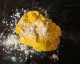 Fetás-sonkás Fibriya kifli keto GM recept fázis 1 fotója