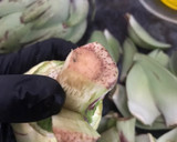 Foto del paso 3 de la receta: Alcachofas "alla Villanella"
