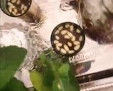 Une image de l'étape 5 de Thé vert menthe fraiche pignon de pin.