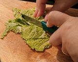 Foto del passaggio 1 della ricetta Spezzatino con verza 😋