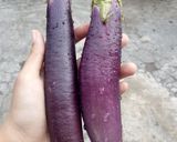 Foto langkah ke 1 dari resep Terong Crispy.