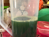 6. Jus Kacang Hijau Less Sugar