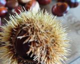 Gesztenyepüré / szelíd gesztenye feldolgozása recept fázis 4 fotója